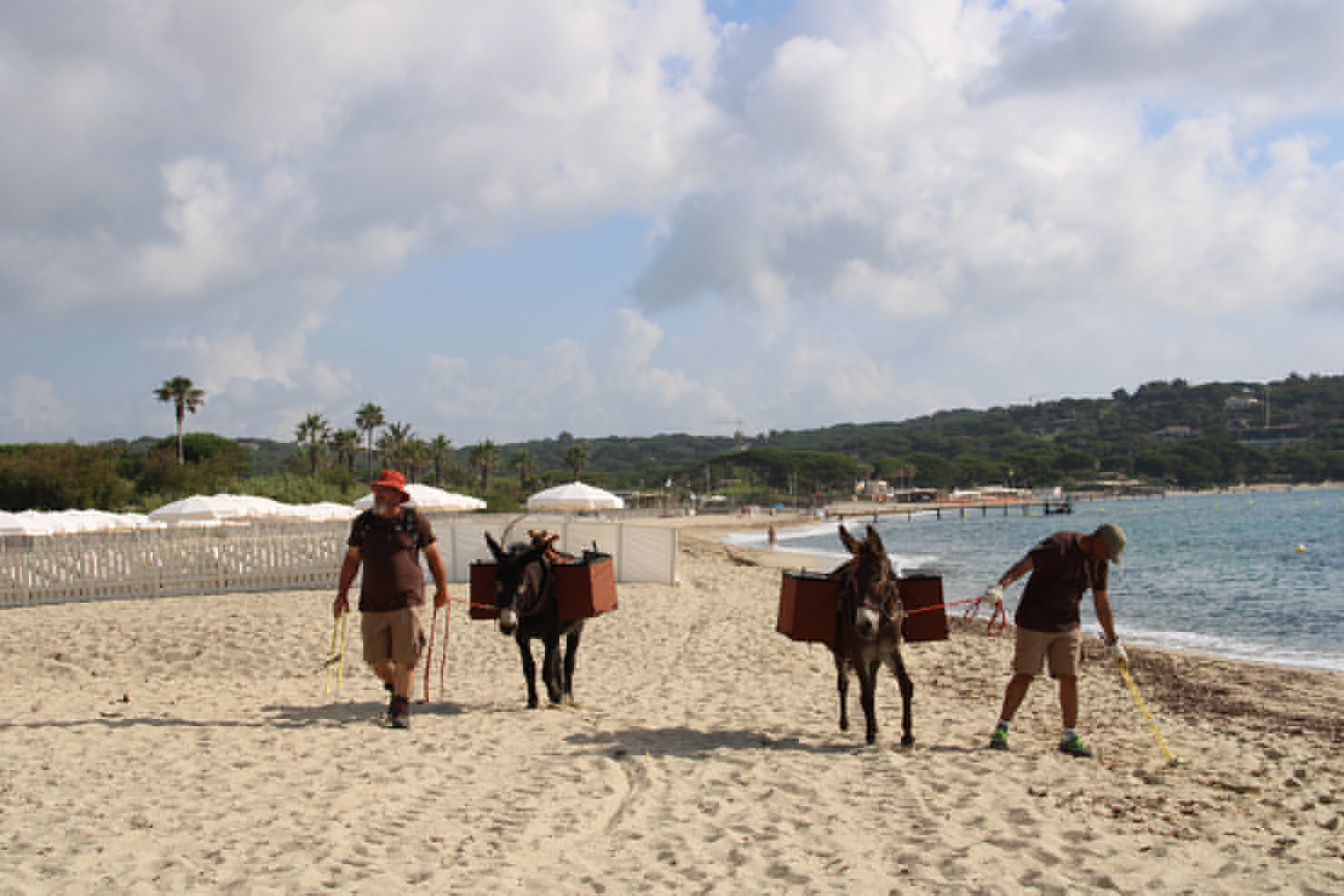 Nettoyage doux de la plage-JPG