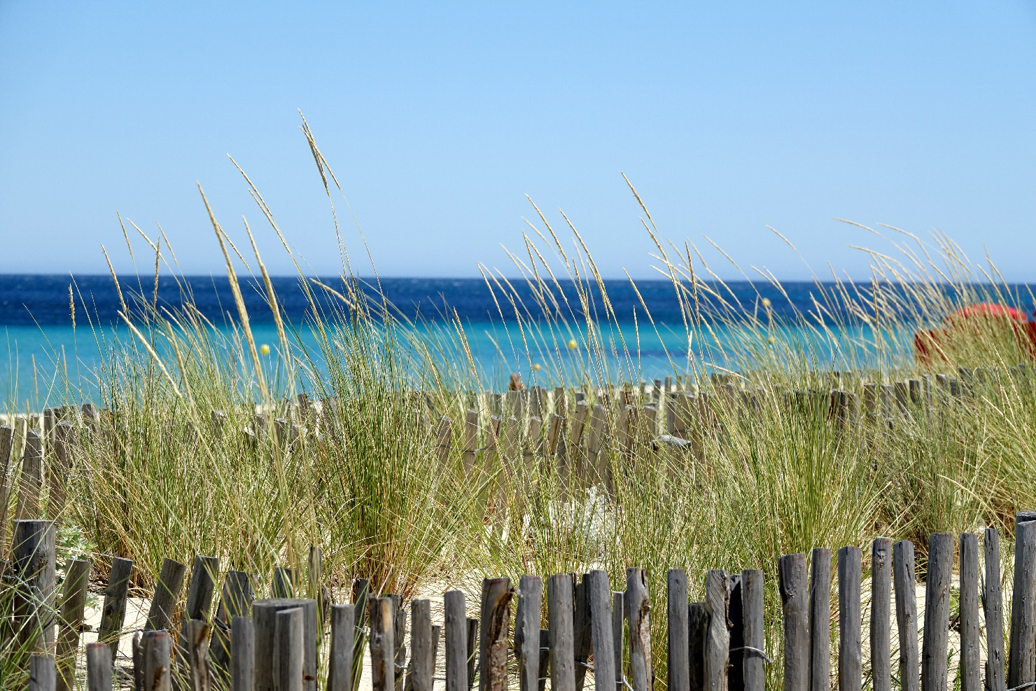 Renaturation de la dune-jpg