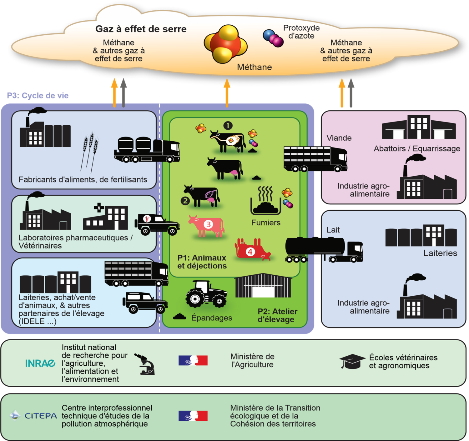 Médicament vétérinaire et réduction des émissions animales de Gaz à Effet de Serre (GES)
Analyse du rapport de la FAO « The role of animal health in national climate commitments »