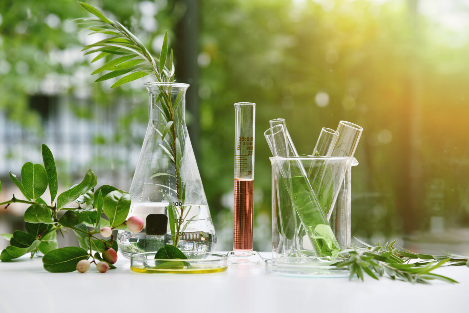 Impact of biomolecules: Promising results for health, nutrition & cosmetics