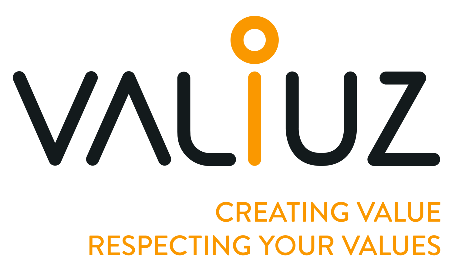 Logo Valiuz-png
