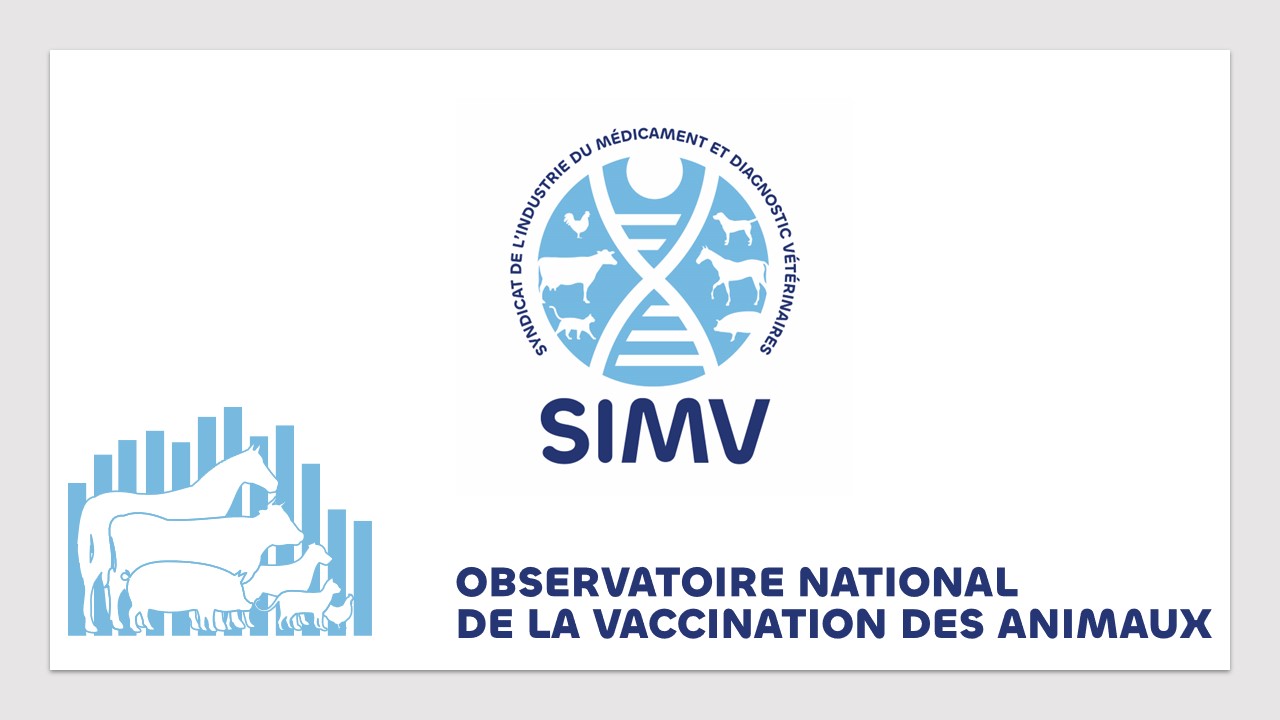 Chaque jour 21 000 chiens et 12 000 chats sont vaccinés en France