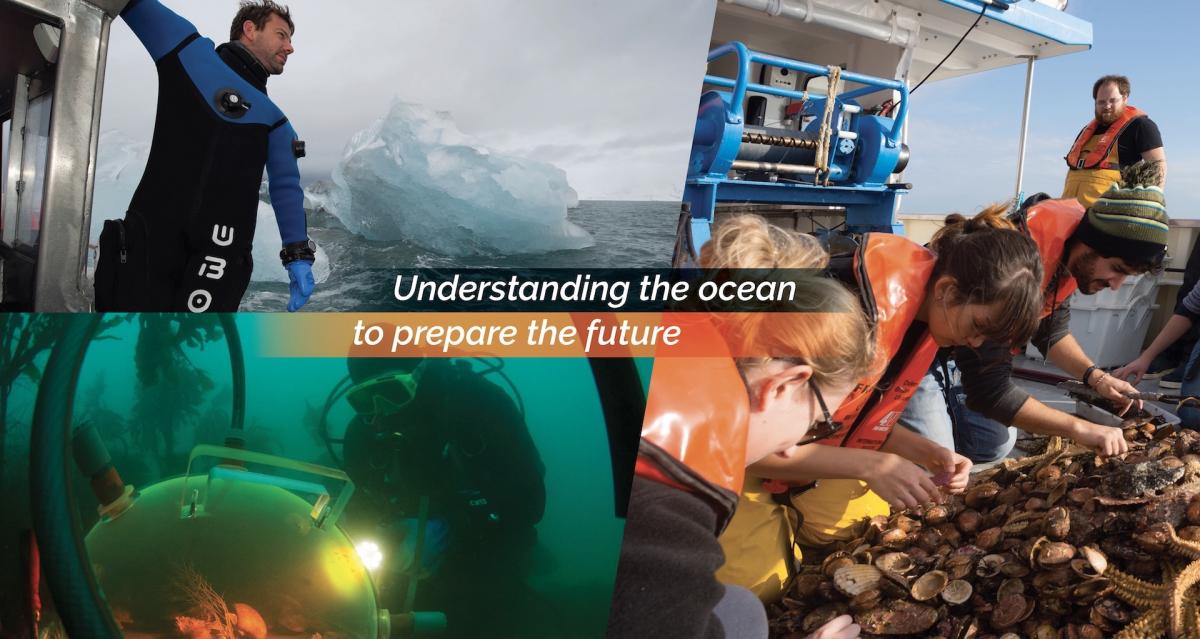 Ocean literacy : Comment bâtir une culture de la mer ?