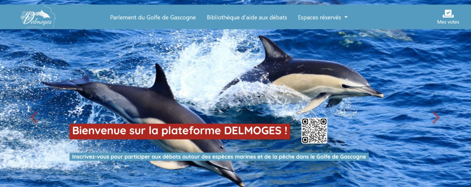 Comment limiter les captures accidentelles de dauphins ? Participez à la concertation citoyenne lancée dans le cadre du projet Delmoges