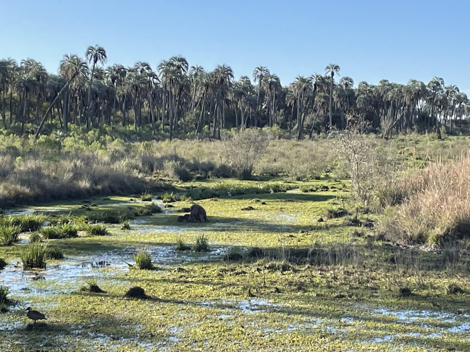 Le modèle des Parcs naturels régionaux essaime à l’international
