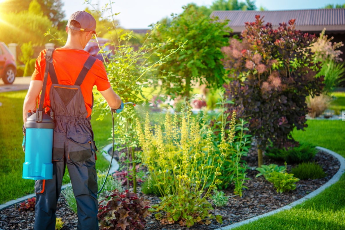 Les députés souhaitent limiter drastiquement l’utilisation des pesticides chimiques