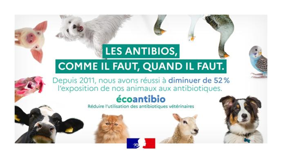 L’industrie du Médicament vétérinaire acteur de la lutte contre l’antibiorésistance