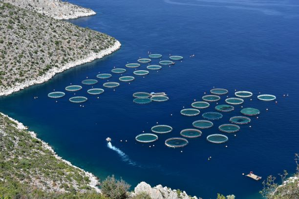EU aquaculture stagnating despite substantial support