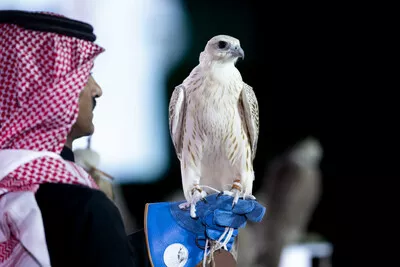 La première édition de l'AlUla Falcon Cup célèbre neuf jours de sports patrimoniaux spectaculaires et de prix records