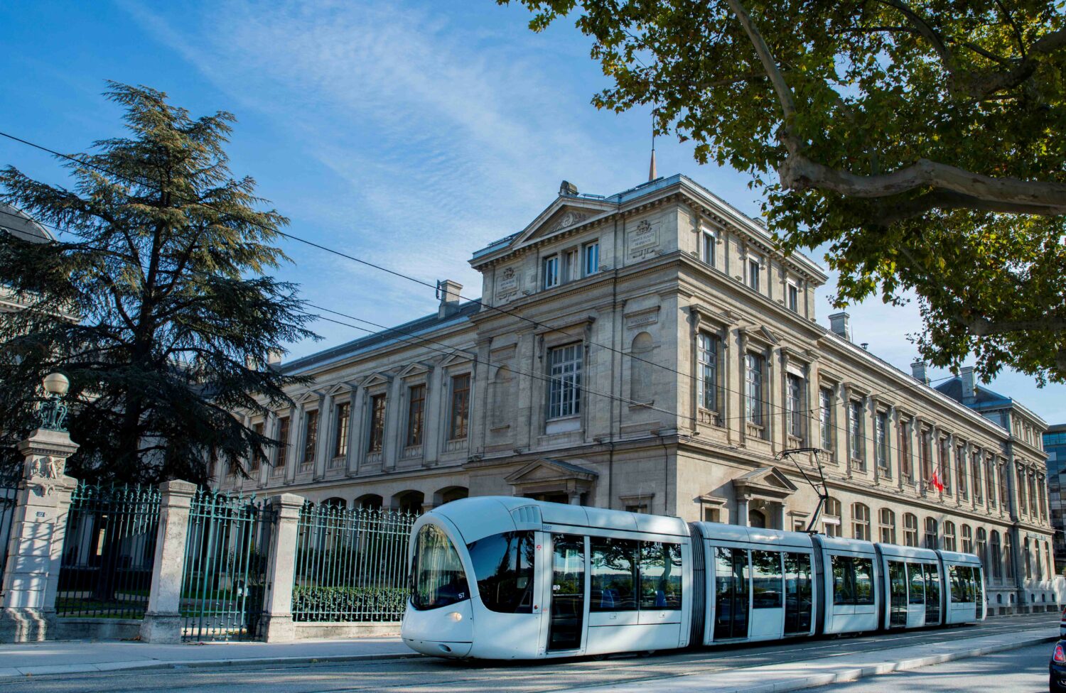 Célébrer la francophonie à l’université