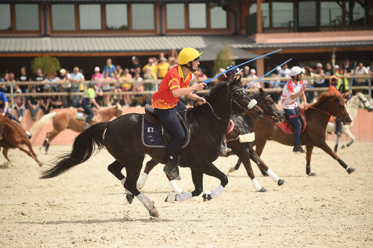 Plus que quelques jours avant le Grand Tournoi 2024, le rendez-vous des sports équestres collectifs !