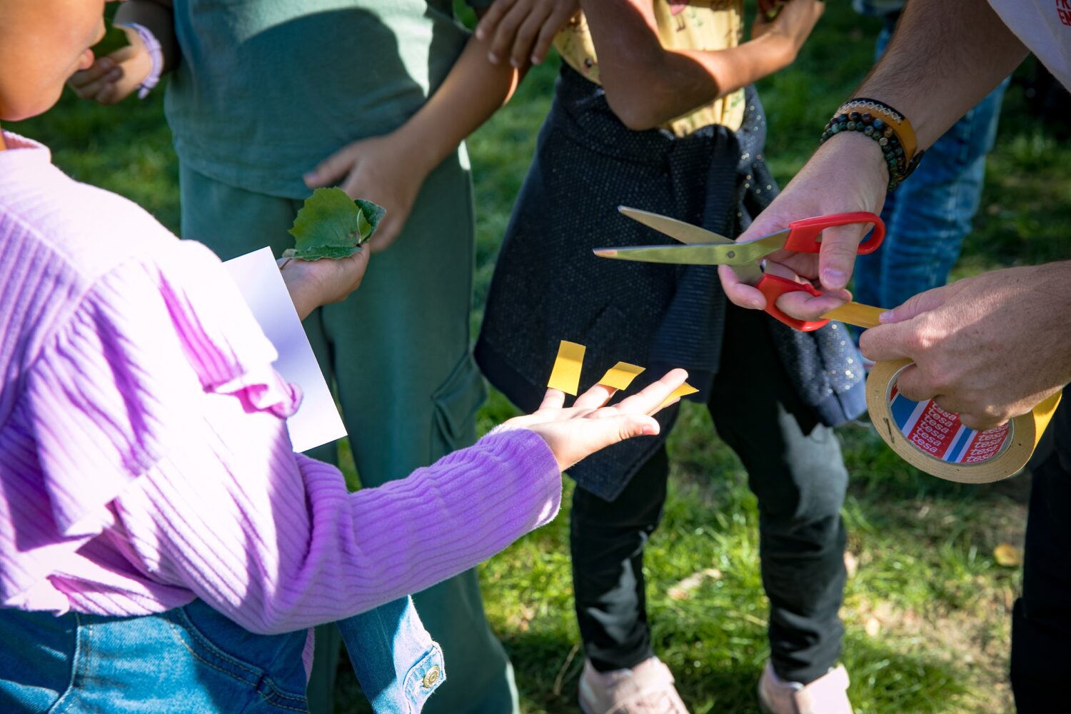 L’école du dehors : où comment faire classe en pleine nature
