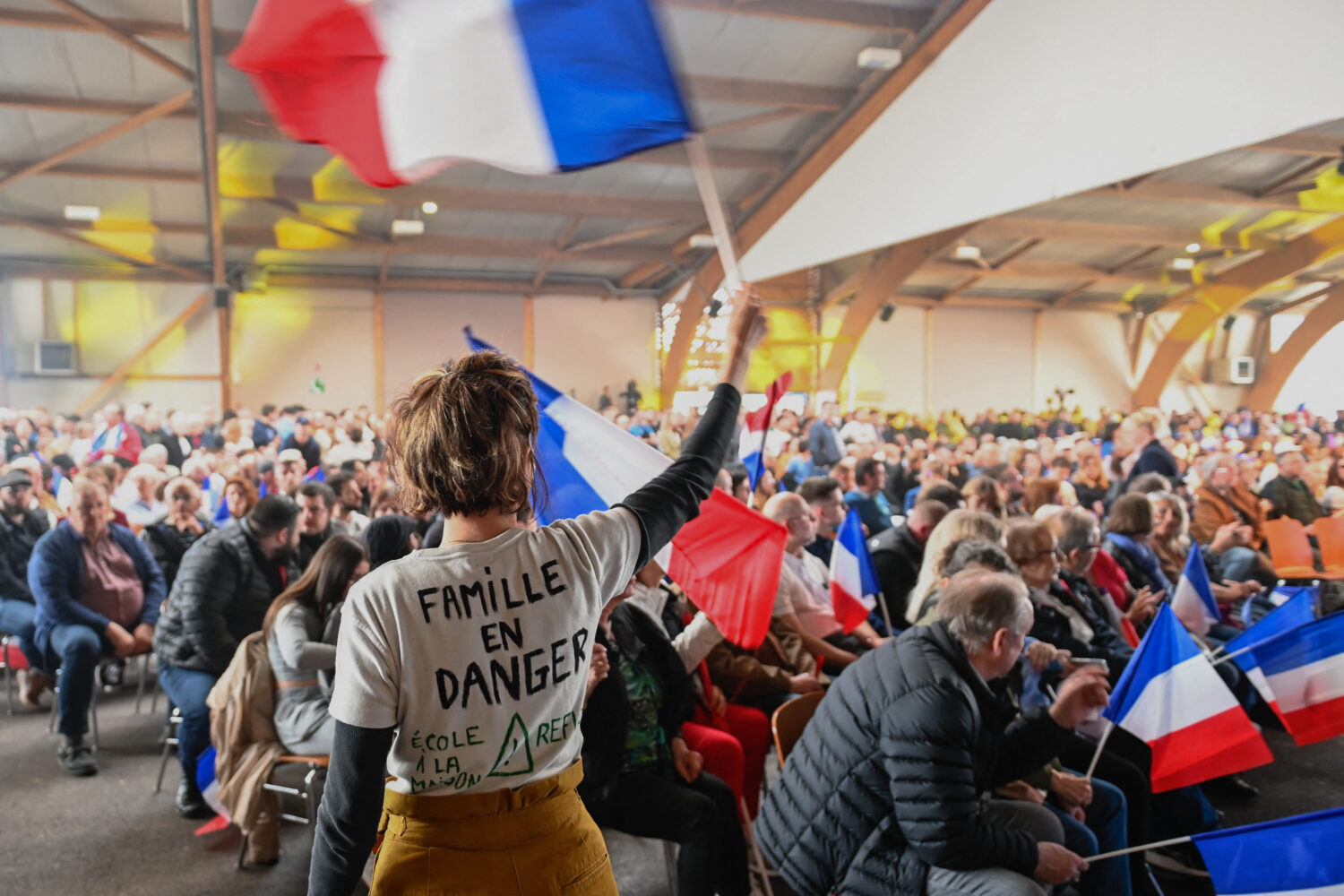 Researchers: The future of democracy is on the ballot in Europe
