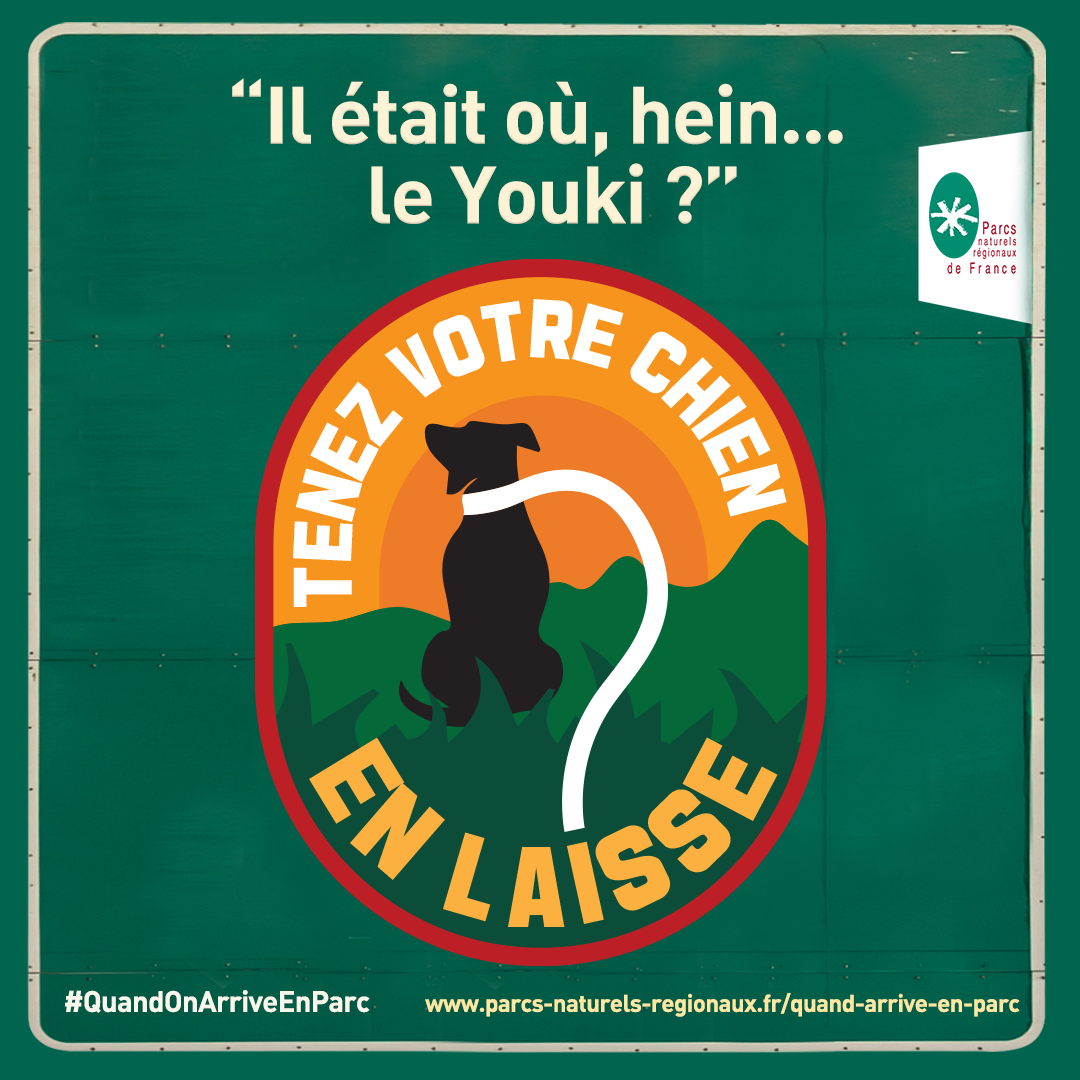 1-1chein-png