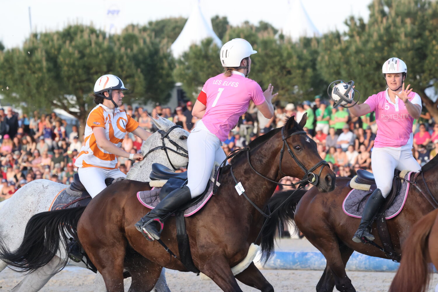 Prouesses sportives et festivités au Grand Tournoi 2024