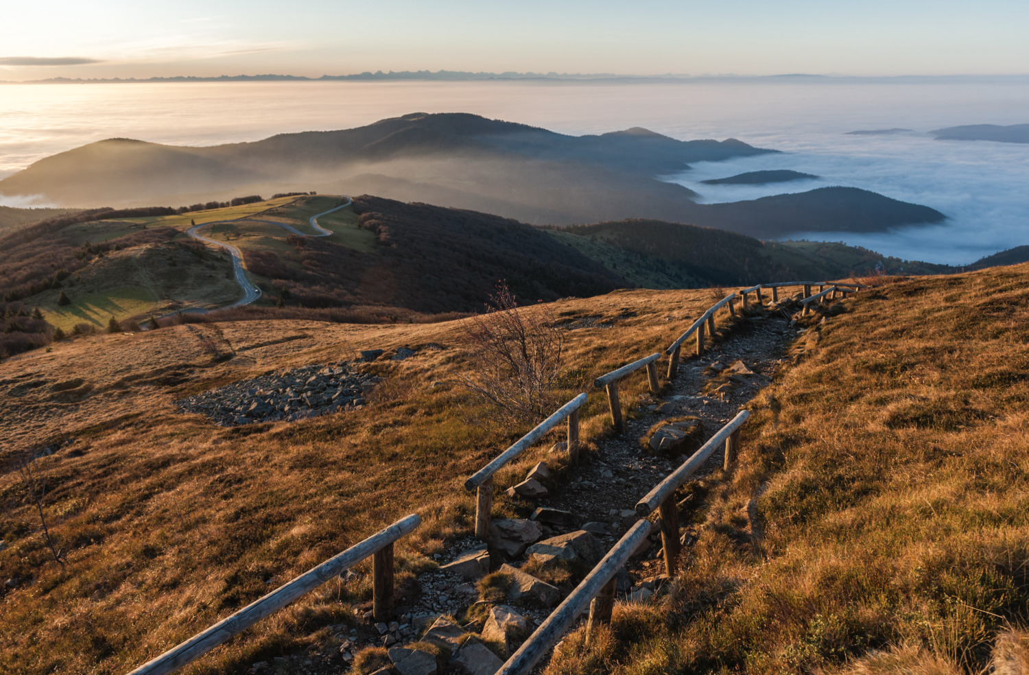 Restauration de la nature : quelles contributions du réseau Natura 2000 ?