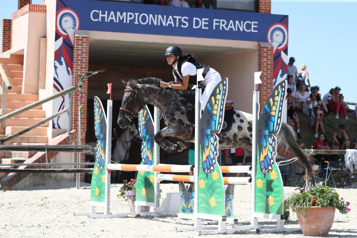 Championnat de France d'équitation 2024 : rendez-vous festif en juillet pour cette année olympique !
