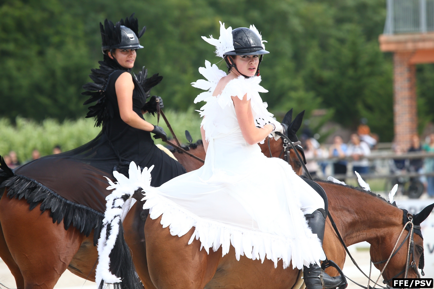 Gilet Chef Équipe Open France Generali 2016 Sport Reiten HARCOUR N8191