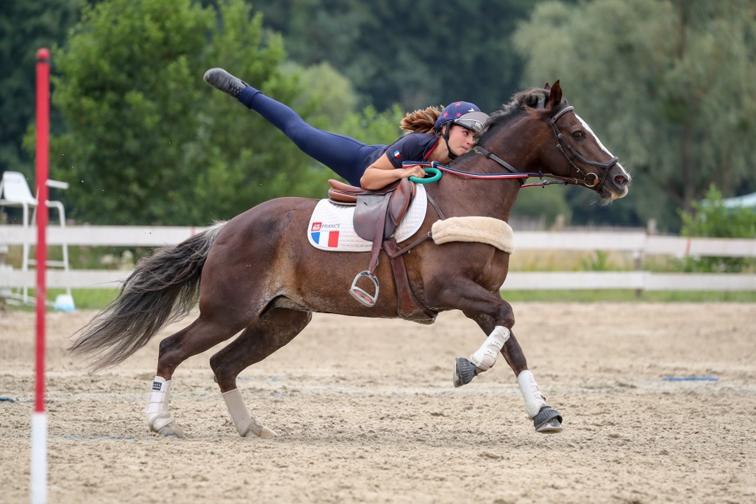 Plongée au cœur de l'équipe de France pour les championnats d'Europe à Lamotte-Beuvron