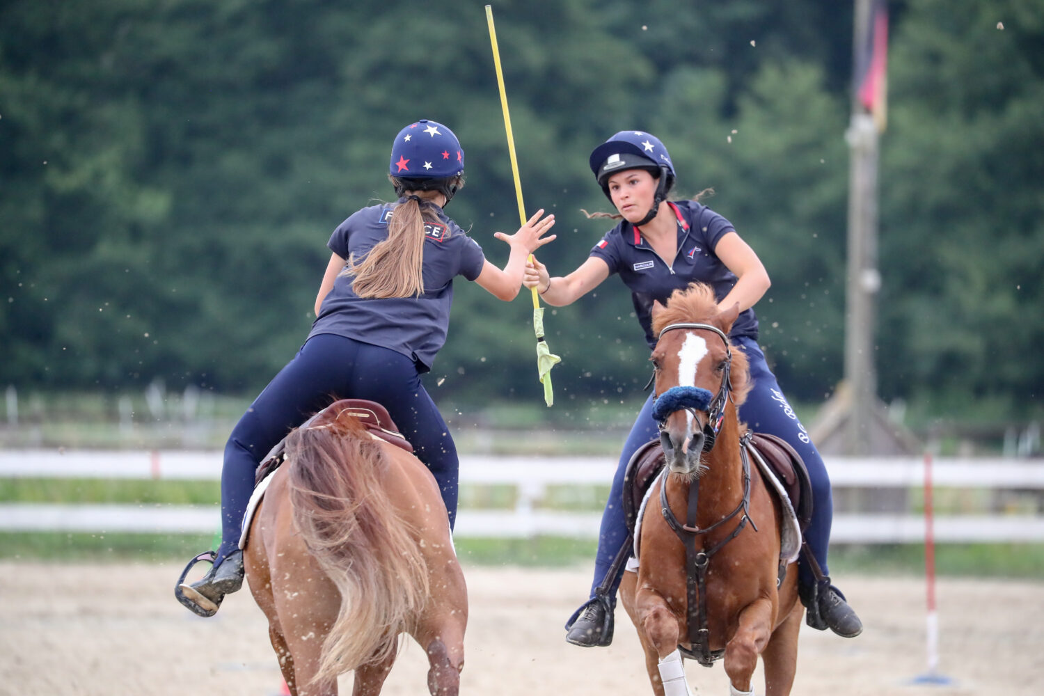 J-1 avant les championnats d'Europe de pony-games à Lamotte-Beuvron (41)