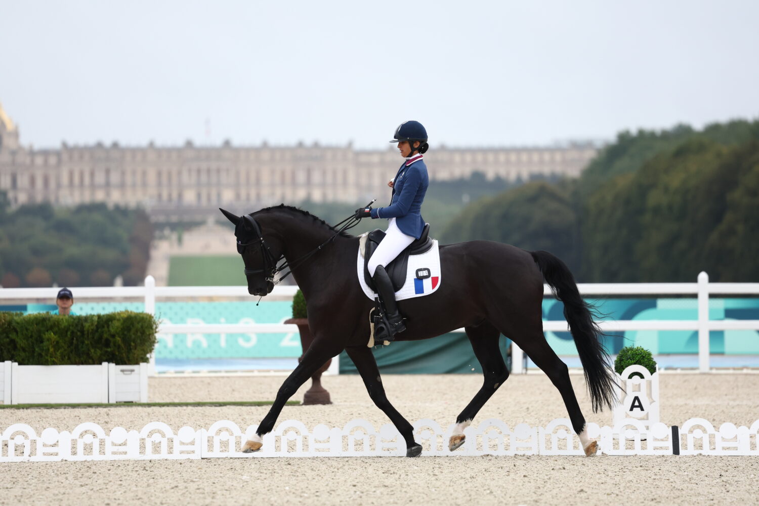 Chiara Zenati et Swing Royal*IFCE qualifiés pour le Freestyle
