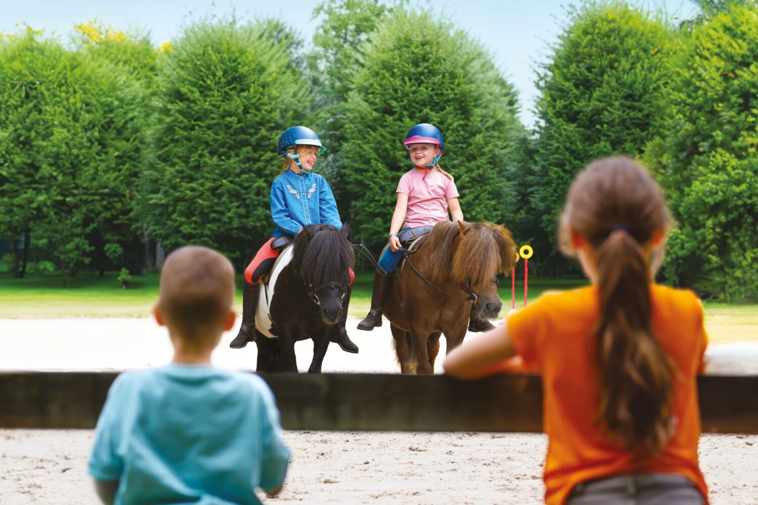 journee-du-cheval-FFE-PSV-NHodys-jpg