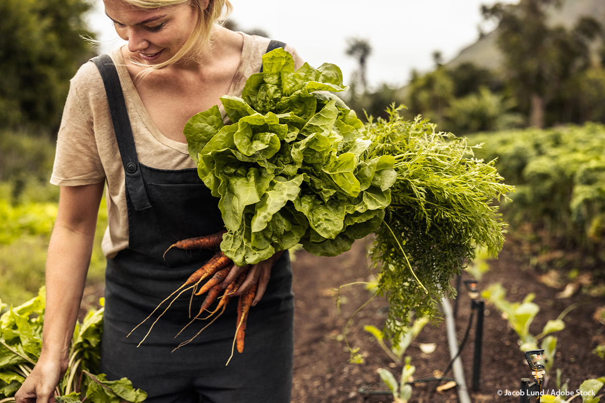 Soutien à l’agriculture biologique: l’UE doit voir plus grand