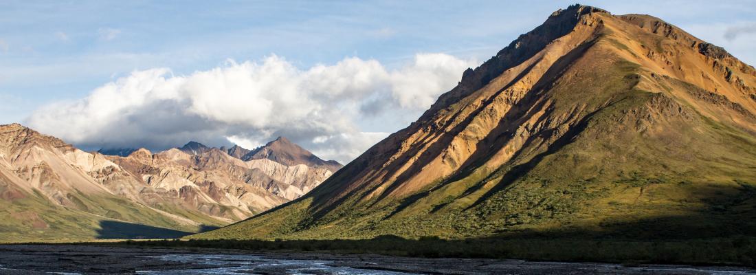 L’influence des dynamiques politiques sur la protection de la biodiversité : l’exemple des États-Unis