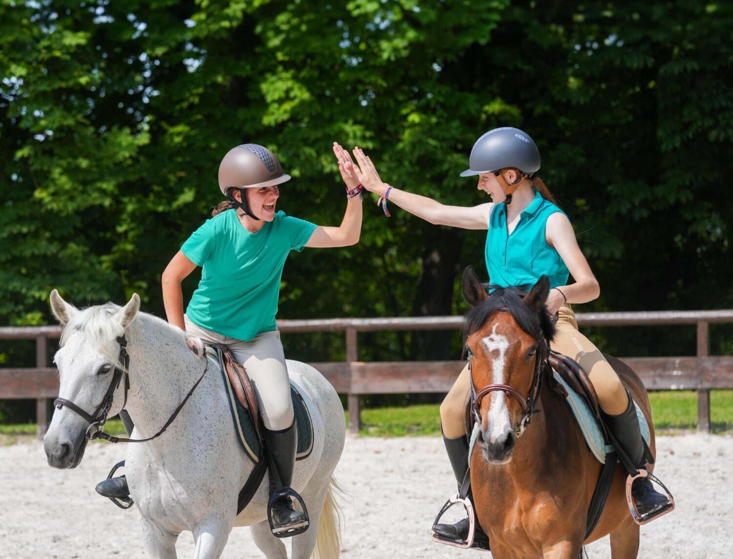 J-3 avant la Journée du cheval : 3 raisons de se rendre dans un poney-club ou centre équestre ce dimanche
