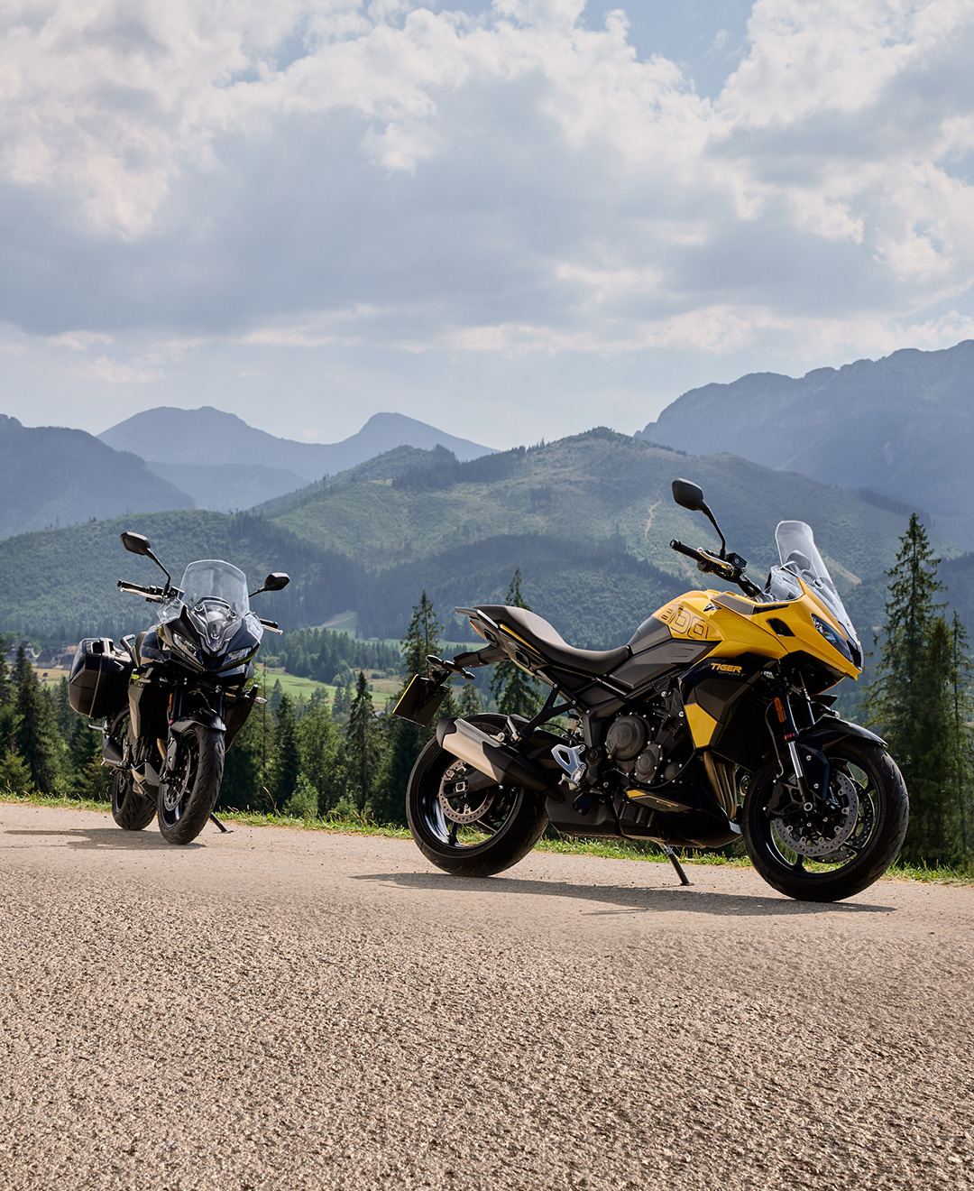 TBC February 12pm - Tiger Sport 800 QA-jpg