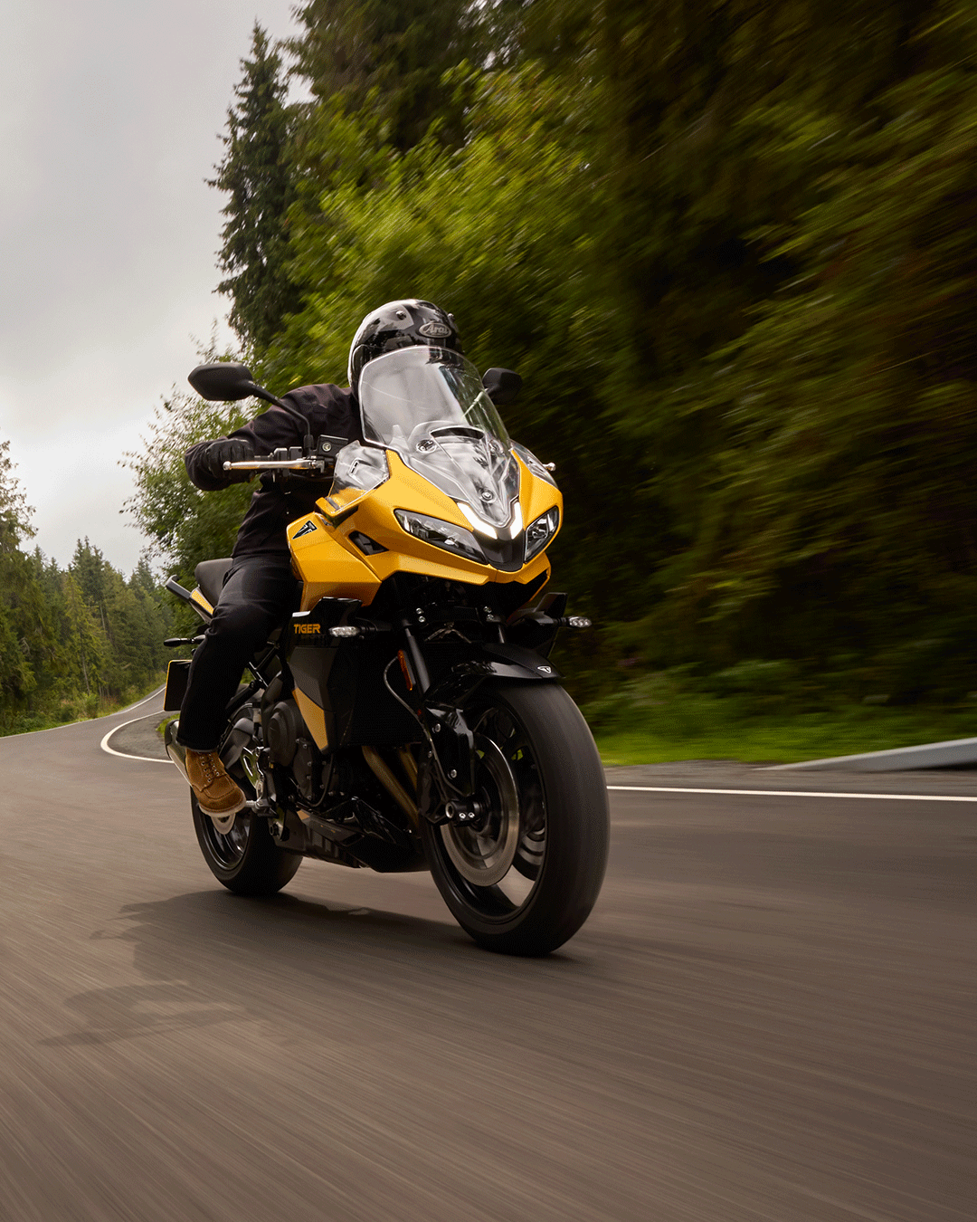 22nd October 4pm - Tiger Sport 800 - Carousel 03-gif