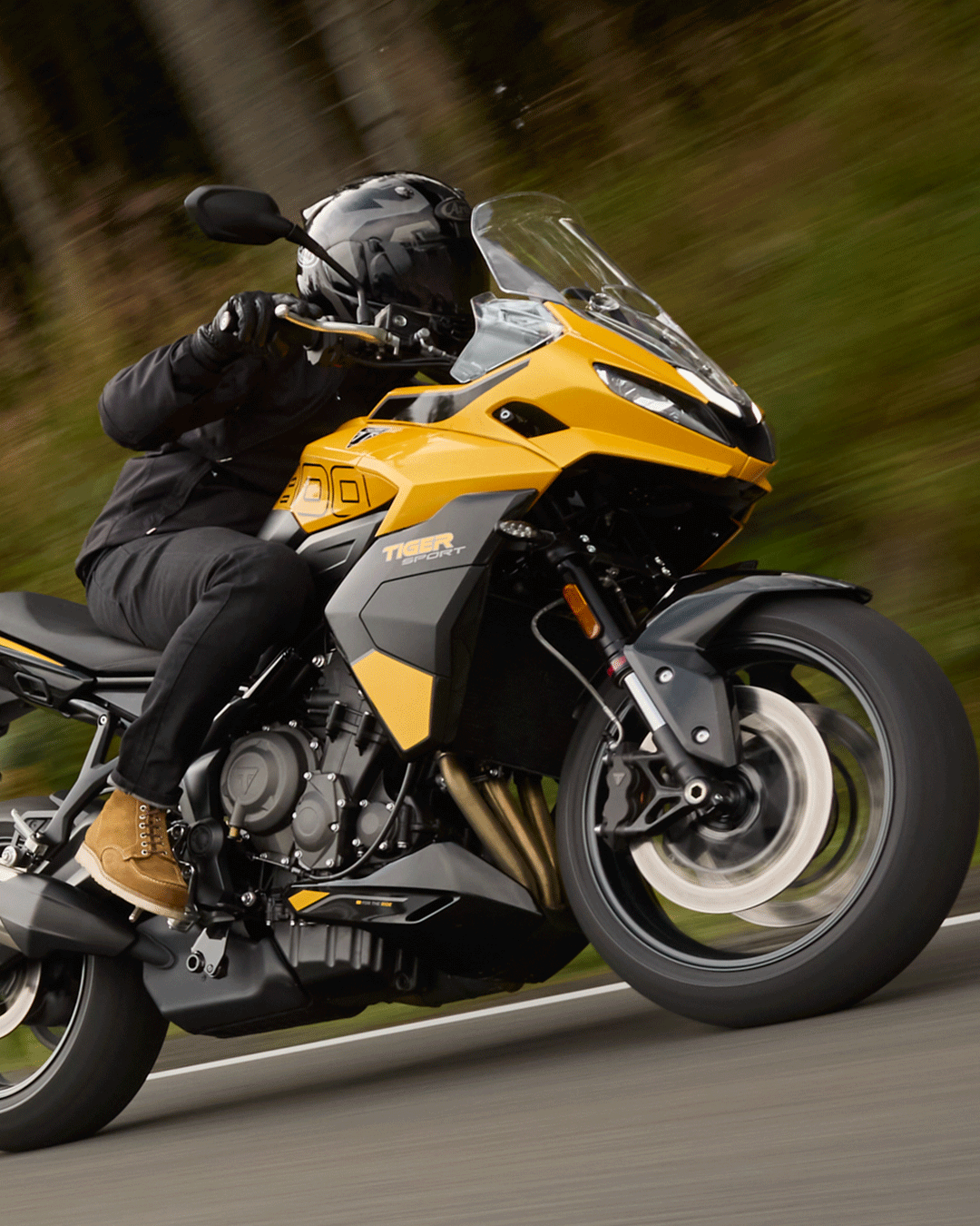 22nd October 4pm - Tiger Sport 800 - Carousel 04-gif
