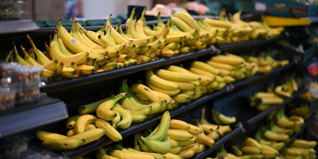 [FACT-CHECK] Attention à ce remède pour “blanchir ses dents” à base de peau de banane et de citron