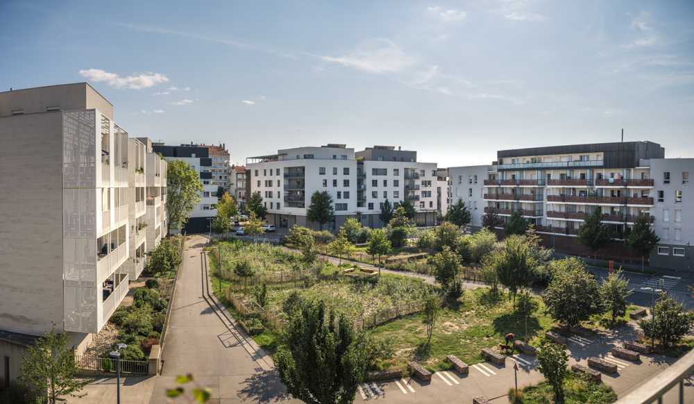 foret-alytes-villeurbanne-jpg