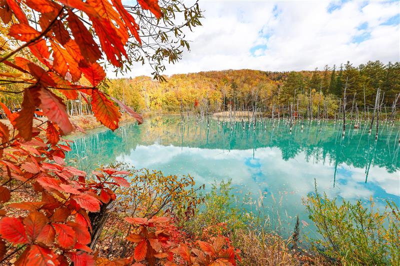 Biei-Shirogane (c) Hokkaido Tourism Organization