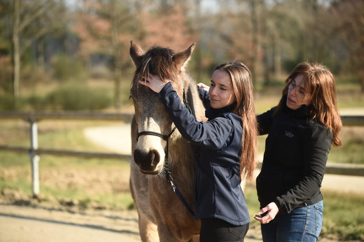 Métier de l’équitation et du soin : Devenir médiateur équin