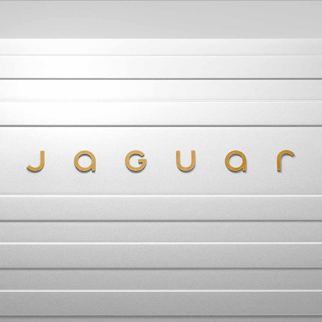 JAGUARDEVICEMARK1X1191124 1-jpg