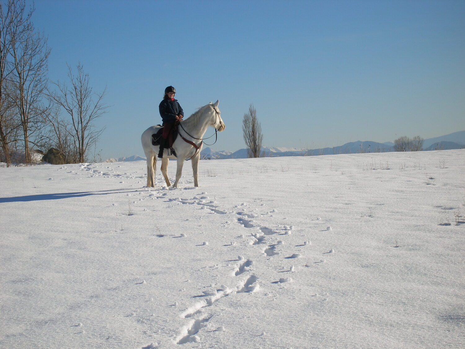 cheval-neige-randonee-equestre-cc-Les-Sabots-de-Venus-JPG