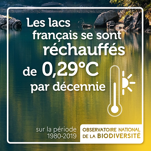 42 Vignette ONBbis legere-png