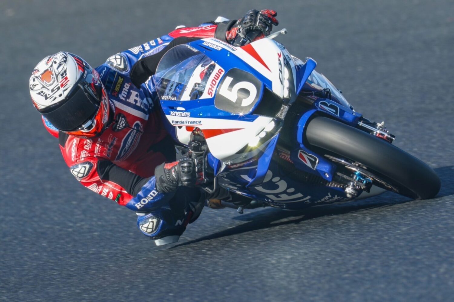 TSR-PR-PHOTO1-1536×1024-jpg
