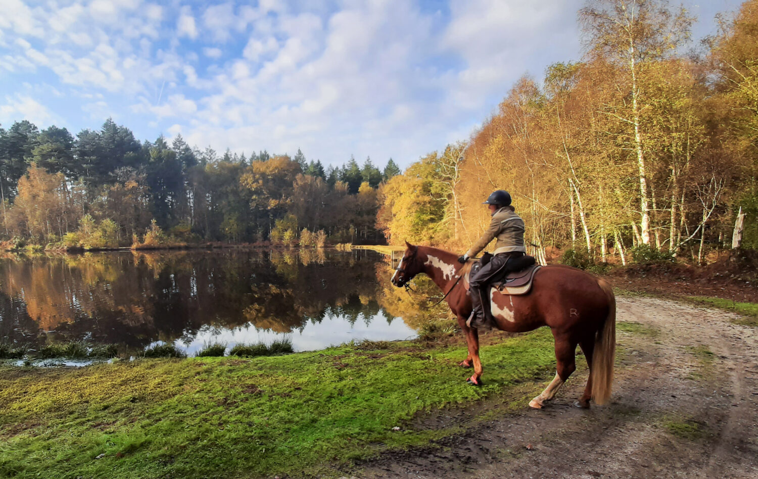 L'équitation western pour concrétiser la tendance venue de l'Ouest