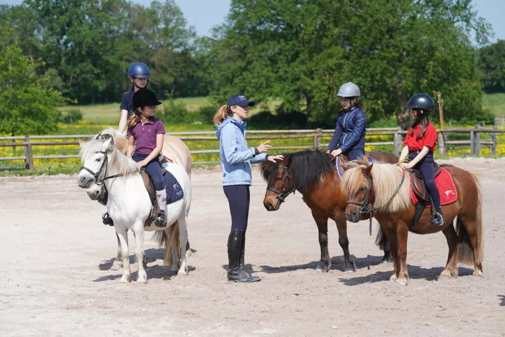 4ème édition du concours « Un des Meilleurs Apprentis de France » pour la catégorie Enseignant d’équitation