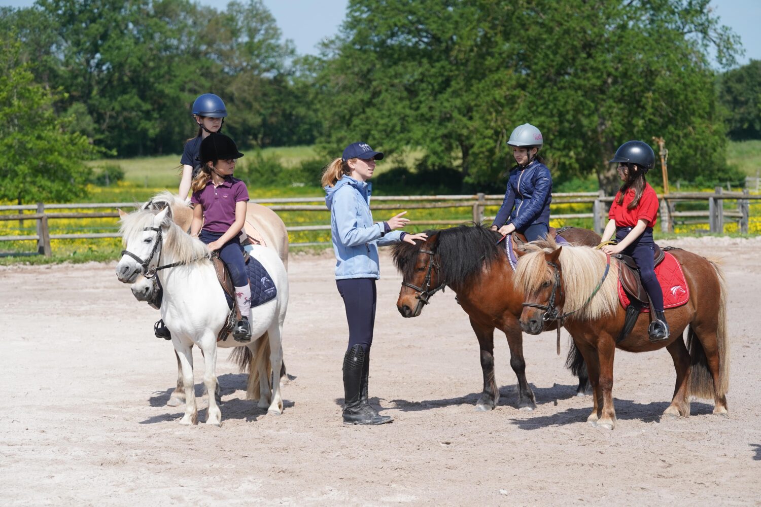 enseignant-equitation-formation-FFE-PSV-NHodys-JPG