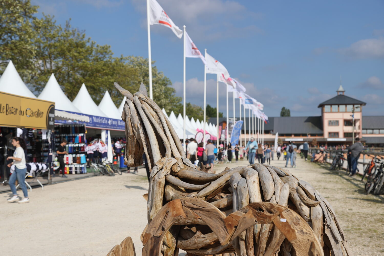 parc-equestre-federal-ffe-psv-JPG