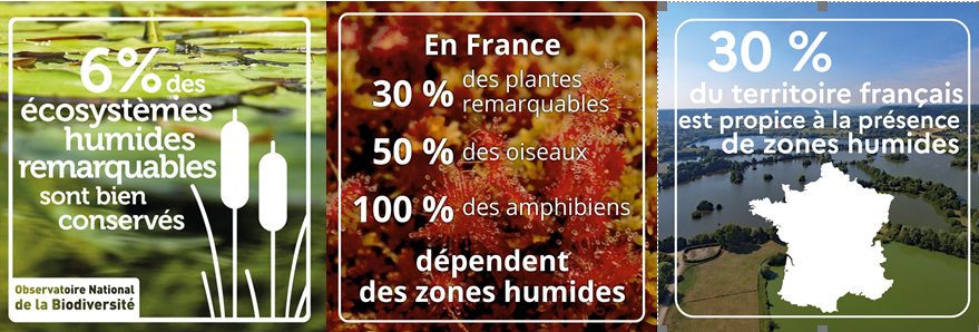 Un mois pour changer de regard sur un patrimoine naturel unique qu’il faut protéger pour notre avenir à tous !