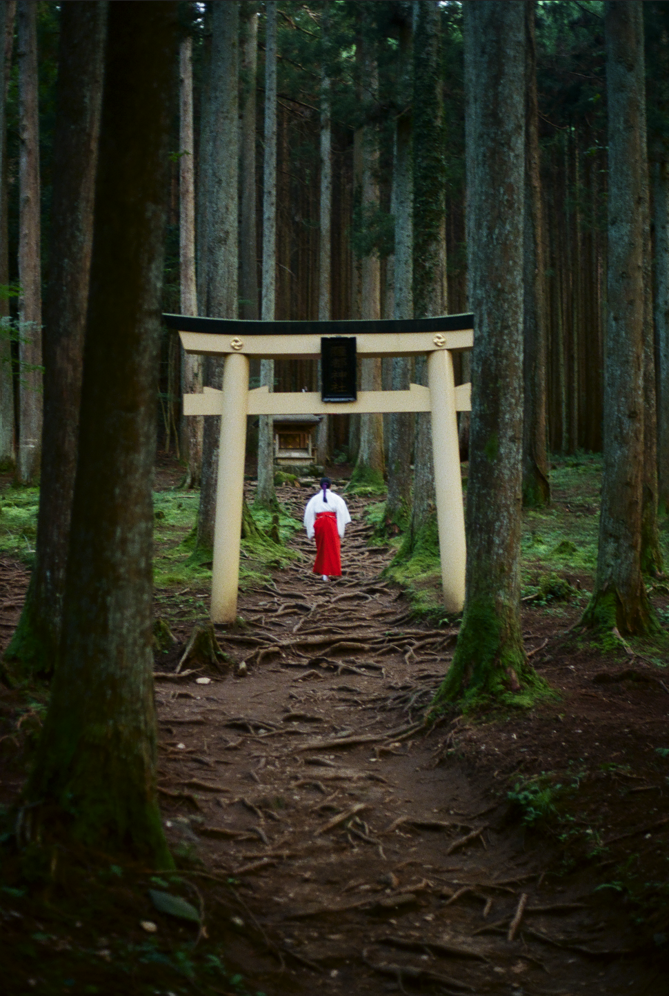 Step into the rich history and culture of Japan traversing the Hitachi-no-kuni Long Trail-jpg