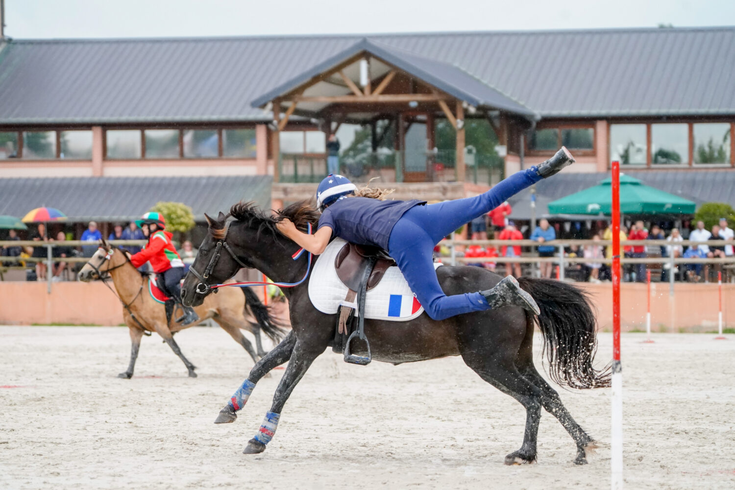 Équitation : l’équipe fédérale d’encadrement sportif est au complet