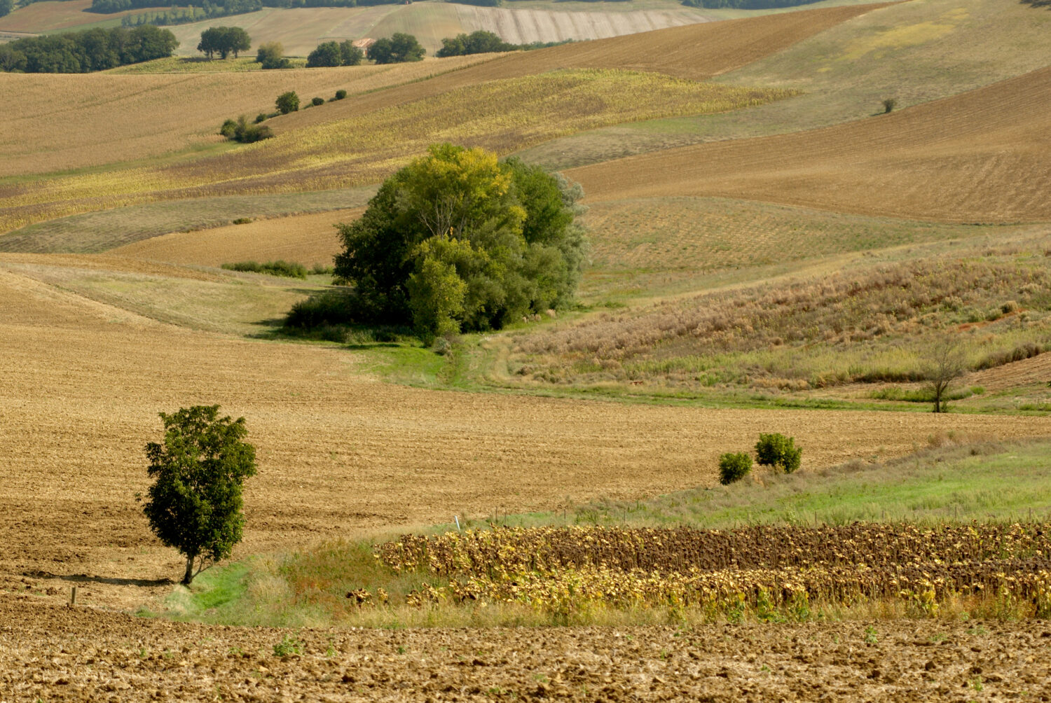 Mettre en œuvre la résilience alimentaire des territoires