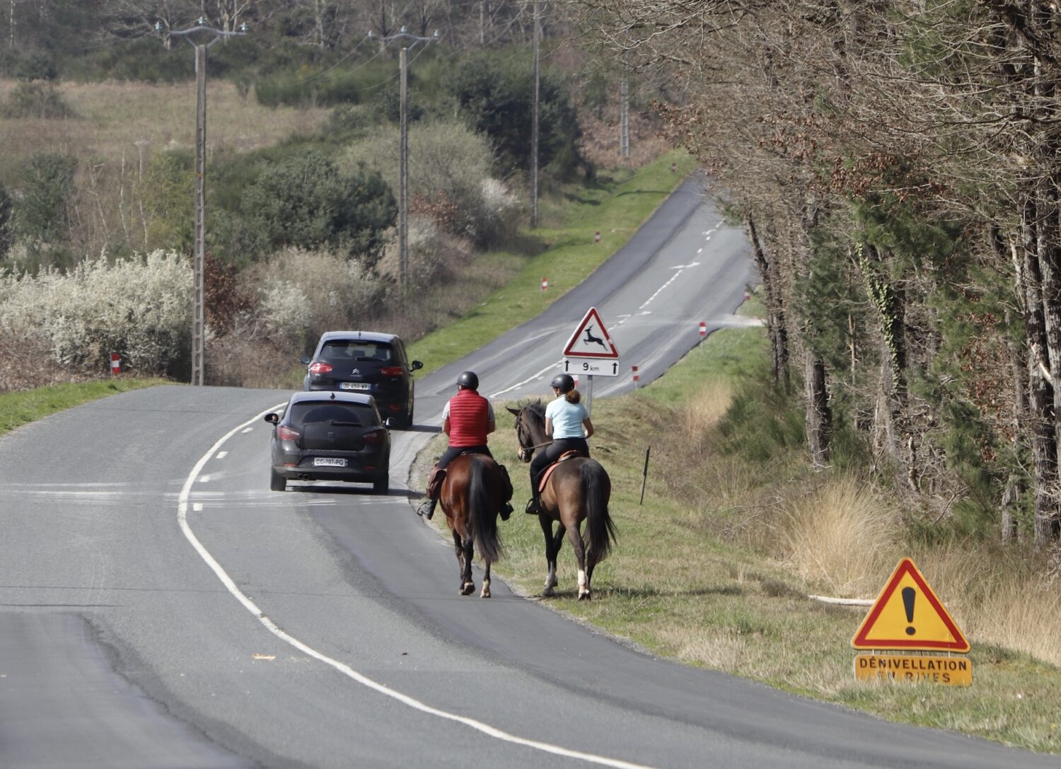 Partage de la route et sécurité : un cheval de bataille pour une cohabitation sereine