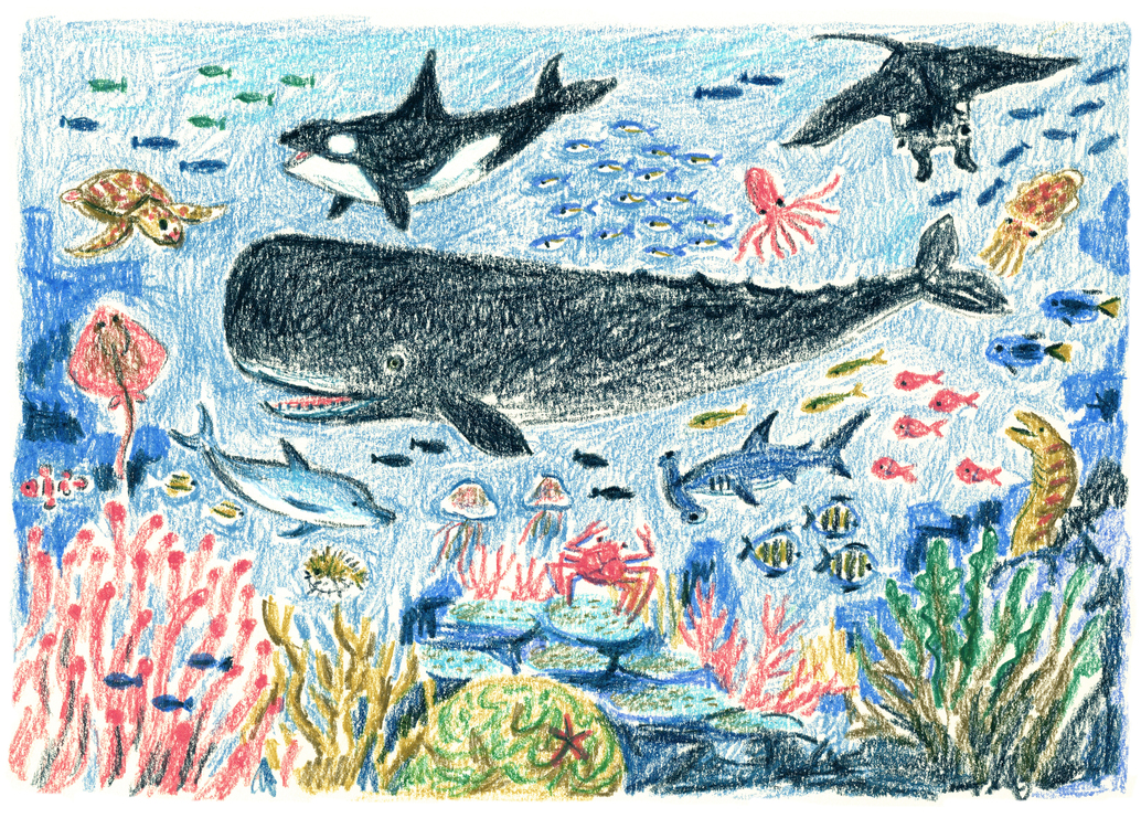 Illustration _Seas crayon.